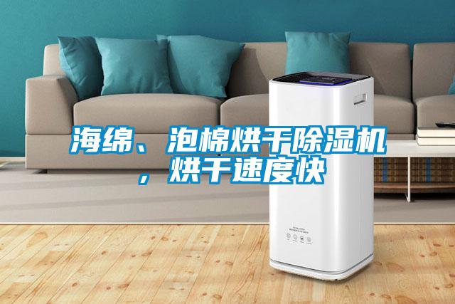 海綿、泡棉烘干除濕機，烘干速度快