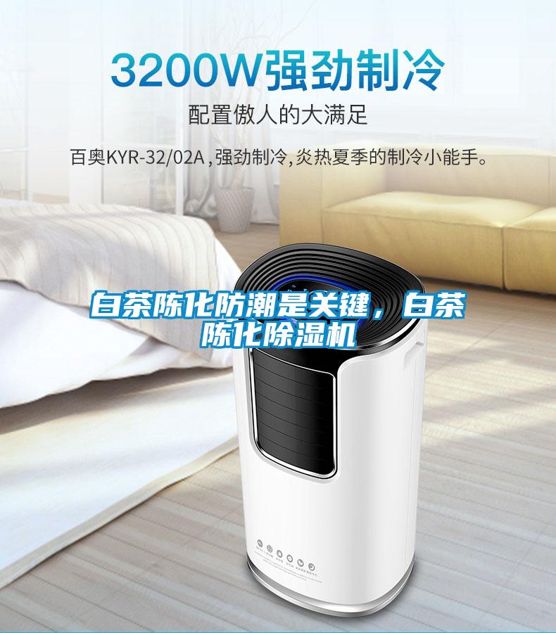 白茶陳化防潮是關(guān)鍵，白茶陳化除濕機(jī)