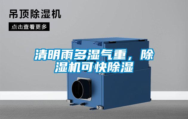 清明雨多濕氣重，除濕機可快除濕