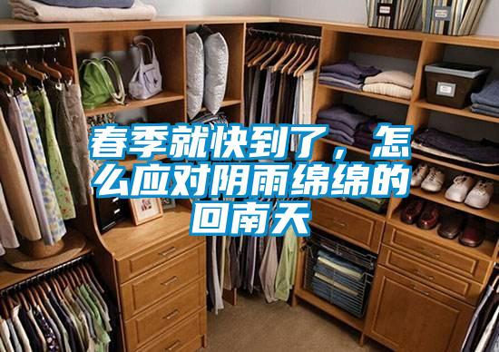 春季就快到了，怎么應對陰雨綿綿的回南天