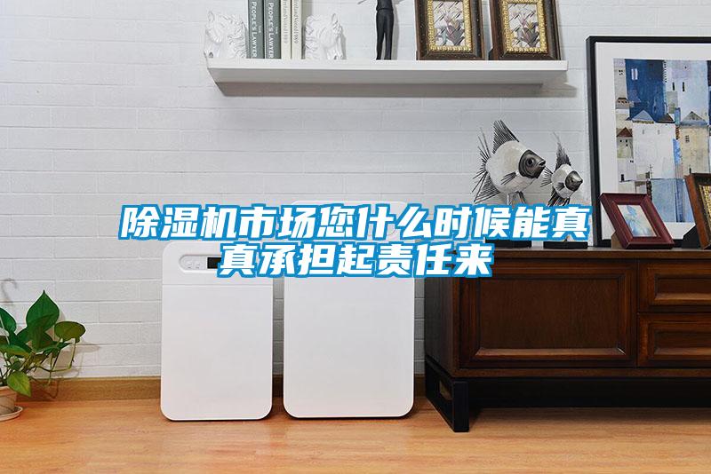 除濕機市場您什么時候能真真承擔起責任來