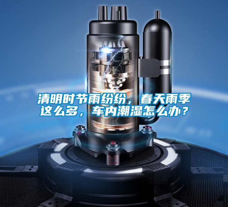 清明時(shí)節(jié)雨紛紛，春天雨季這么多，車內(nèi)潮濕怎么辦？