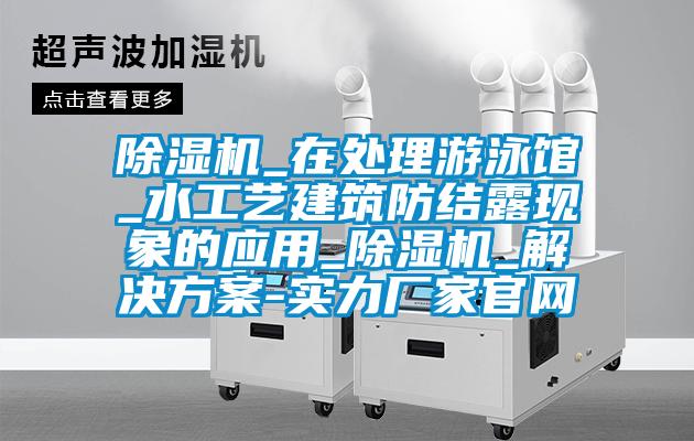 除濕機(jī)_在處理游泳館_水工藝建筑防結(jié)露現(xiàn)象的應(yīng)用_除濕機(jī)_解決方案-實力廠家官網(wǎng)