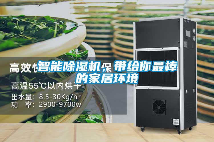 智能除濕機，帶給你最棒的家居環境