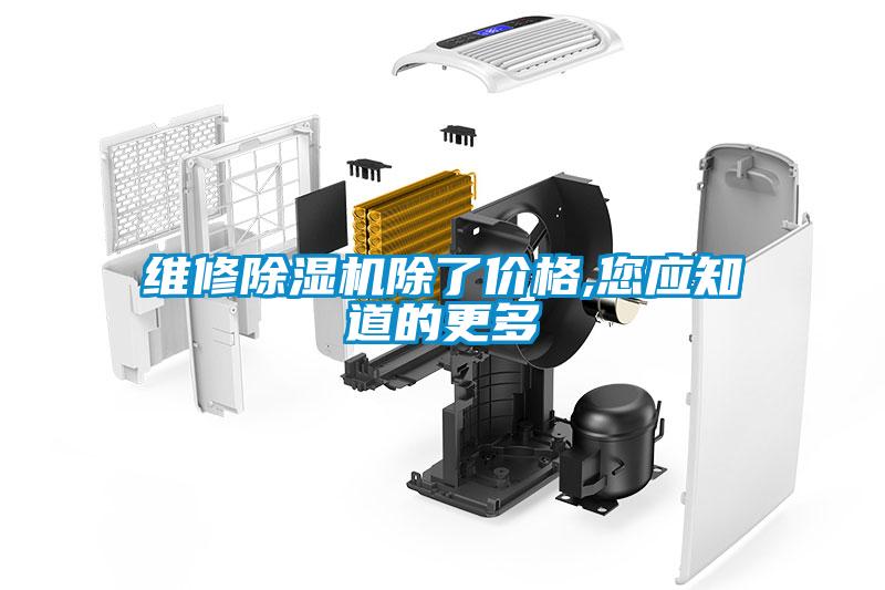 維修除濕機除了價格,您應(yīng)知道的更多