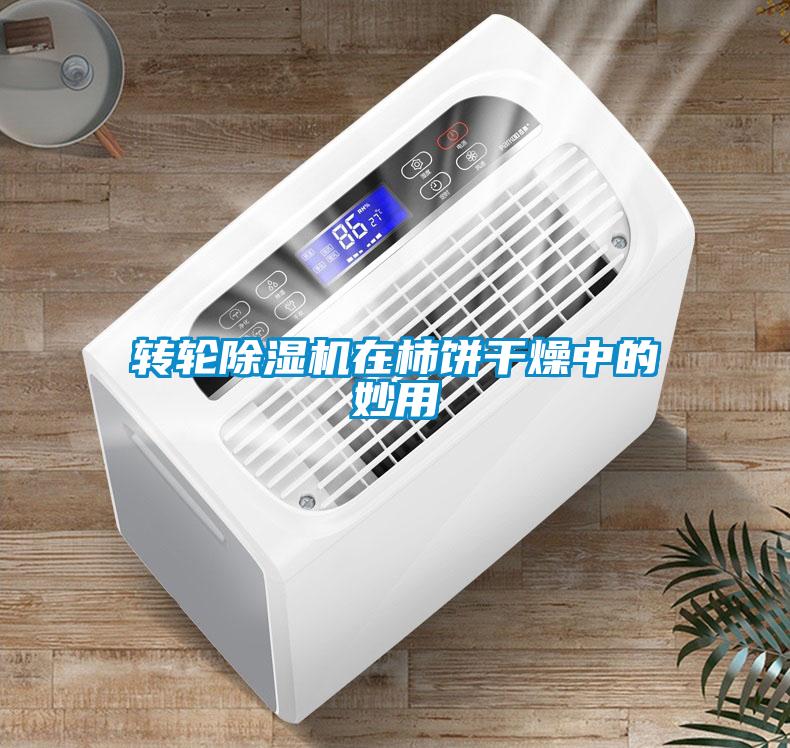 轉輪除濕機在柿餅干燥中的妙用