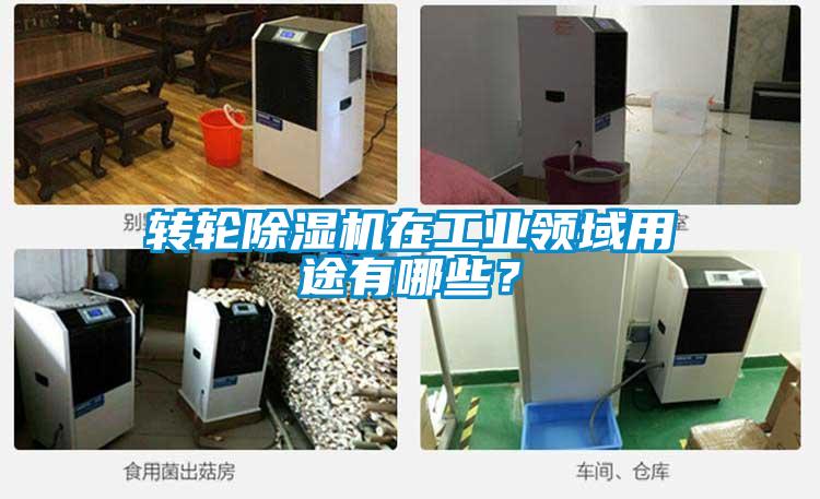 轉(zhuǎn)輪除濕機(jī)在工業(yè)領(lǐng)域用途有哪些？