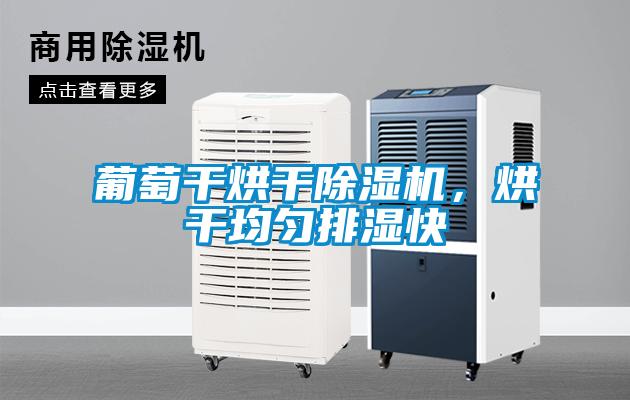 葡萄干烘干除濕機，烘干均勻排濕快