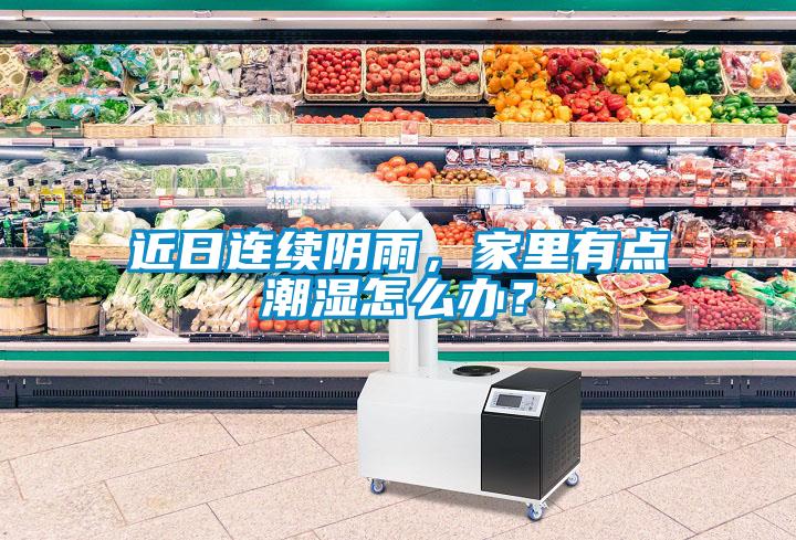 近日連續陰雨，家里有點潮濕怎么辦？