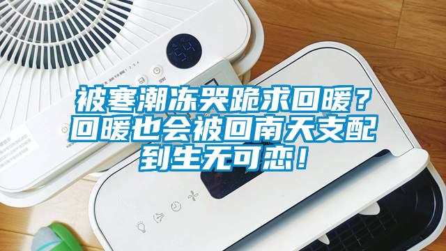 被寒潮凍哭跪求回暖？回暖也會被回南天支配到生無可戀！