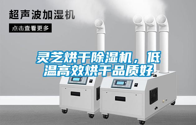 靈芝烘干除濕機(jī)，低溫高效烘干品質(zhì)好