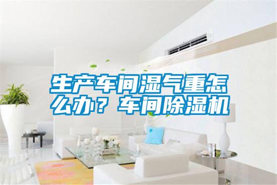 生產車間濕氣重怎么辦？車間除濕機