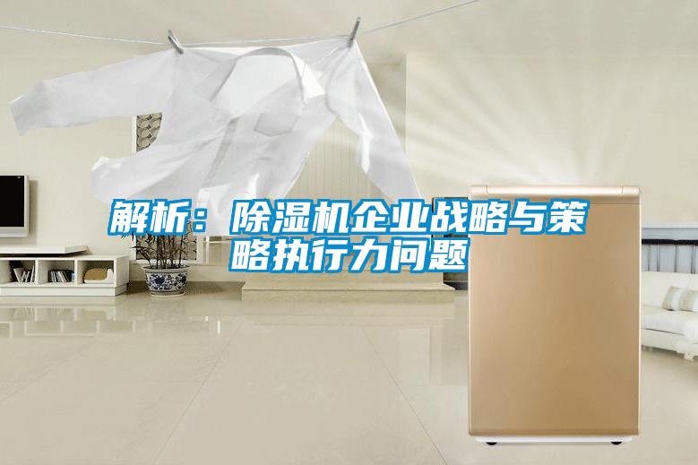 解析：除濕機(jī)企業(yè)戰(zhàn)略與策略執(zhí)行力問(wèn)題