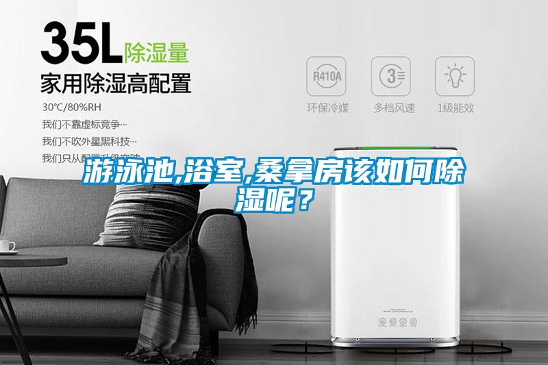 游泳池,浴室,桑拿房該如何除濕呢？