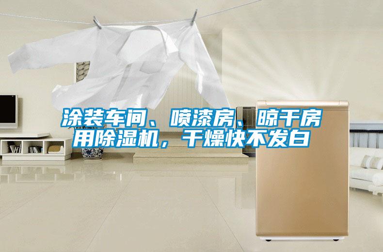 涂裝車間、噴漆房、晾干房用除濕機，干燥快不發白