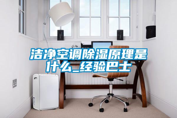 潔凈空調除濕原理是什么_經驗巴士