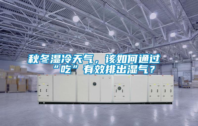 秋冬濕冷天氣，該如何通過“吃”有效排出濕氣？
