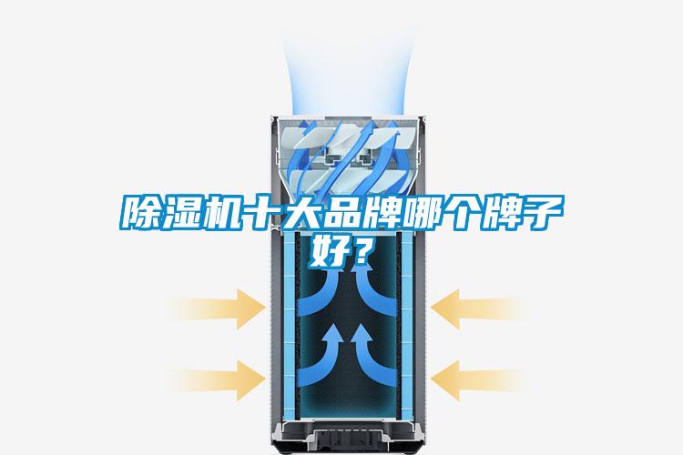 除濕機十大品牌哪個牌子好？