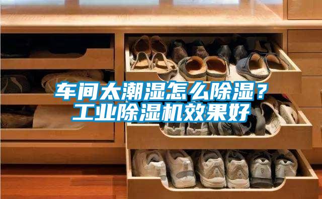 車間太潮濕怎么除濕？工業(yè)除濕機(jī)效果好