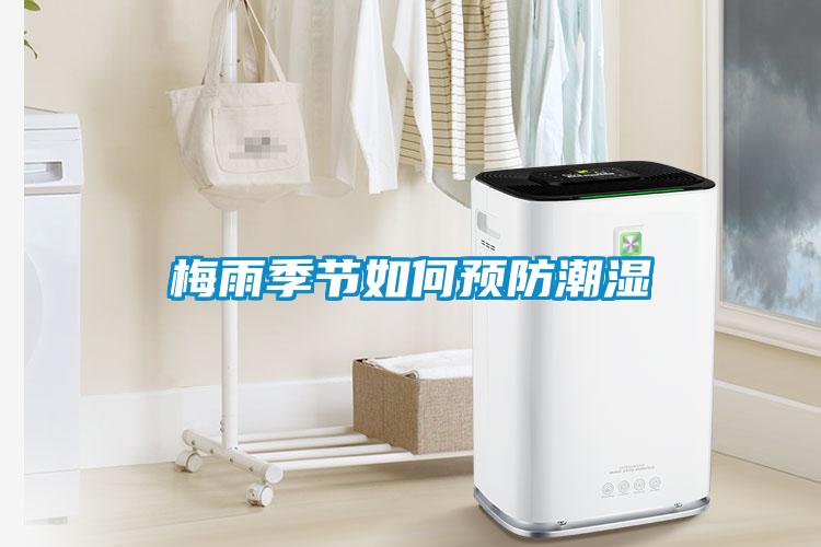 梅雨季節如何預防潮濕