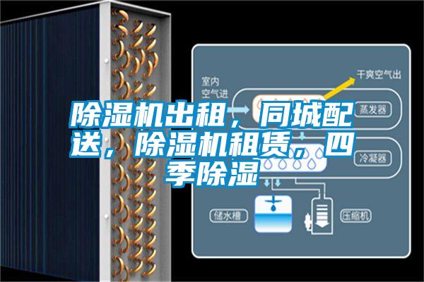 除濕機出租，同城配送，除濕機租賃，四季除濕