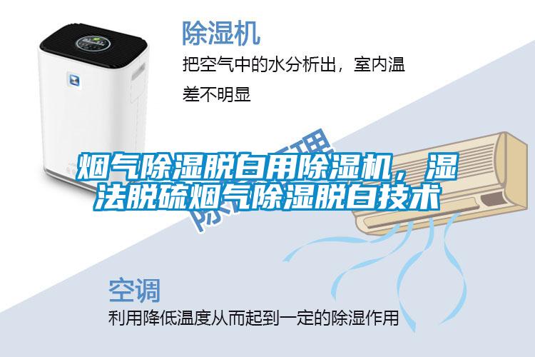 煙氣除濕脫白用除濕機(jī)，濕法脫硫煙氣除濕脫白技術(shù)