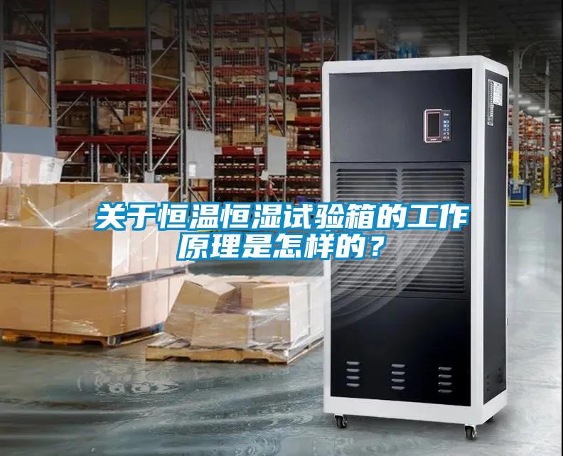 關于恒溫恒濕試驗箱的工作原理是怎樣的？