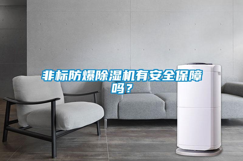 非標(biāo)防爆除濕機(jī)有安全保障嗎？