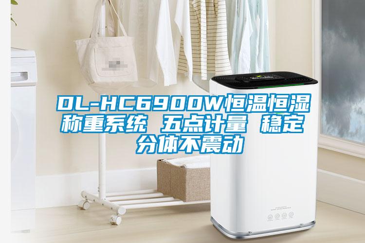 DL-HC6900W恒溫恒濕稱重系統 五點計量 穩定 分體不震動