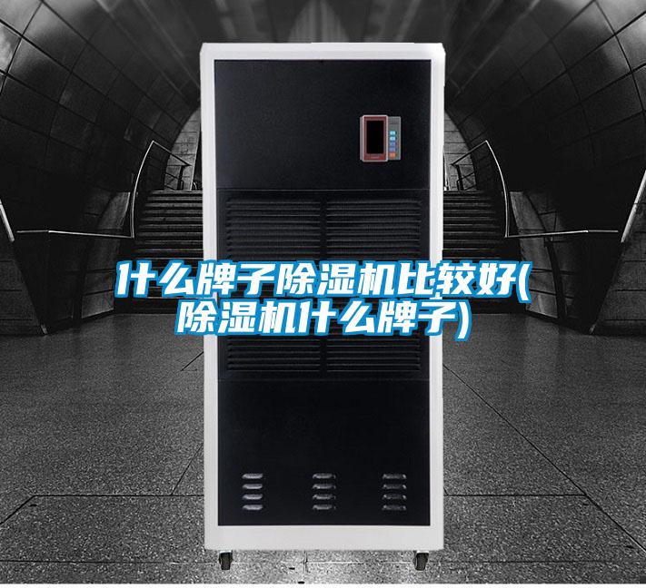 什么牌子除濕機比較好(除濕機什么牌子)