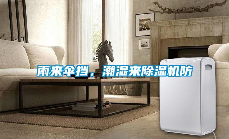 雨來傘擋，潮濕來除濕機防