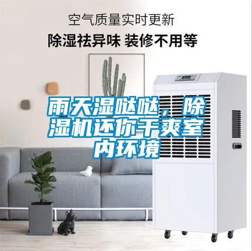 雨天濕噠噠，除濕機還你干爽室內環境