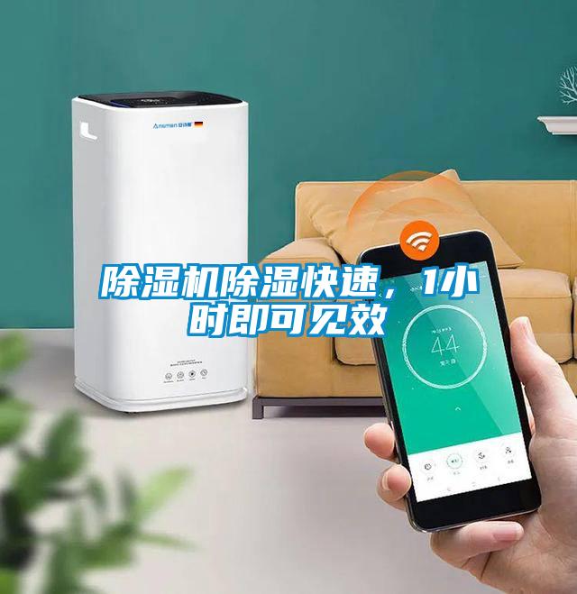 除濕機除濕快速，1小時即可見效