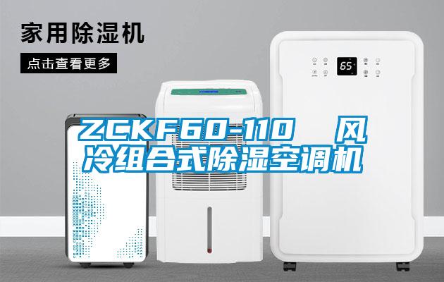 ZCKF60-110  風冷組合式除濕空調機