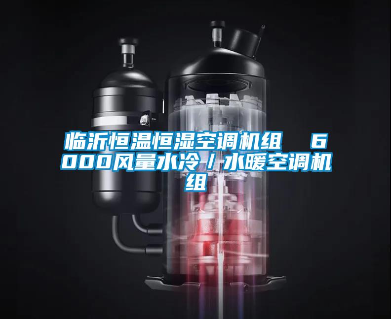 臨沂恒溫恒濕空調機組  6000風量水冷／水暖空調機組