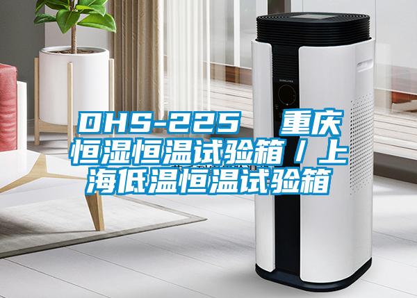 DHS-225  重慶恒濕恒溫試驗(yàn)箱／上海低溫恒溫試驗(yàn)箱