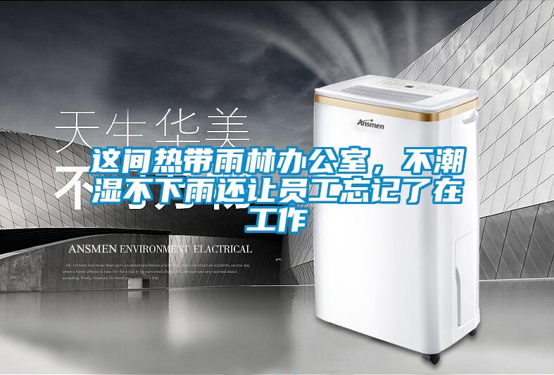 這間熱帶雨林辦公室，不潮濕不下雨還讓員工忘記了在工作