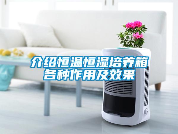 介紹恒溫恒濕培養箱各種作用及效果