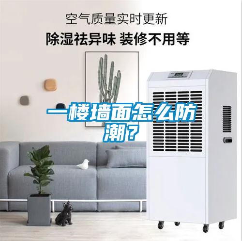 一樓墻面怎么防潮？