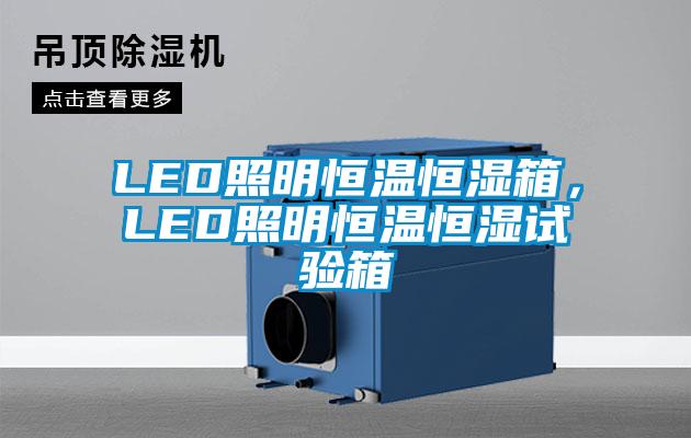 LED照明恒溫恒濕箱，LED照明恒溫恒濕試驗(yàn)箱
