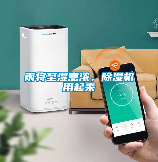 雨將至濕意濃，除濕機用起來