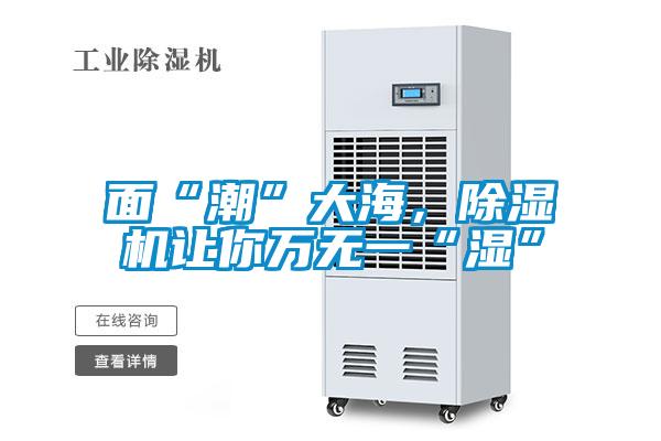 面“潮”大海，除濕機(jī)讓你萬(wàn)無(wú)一“濕”
