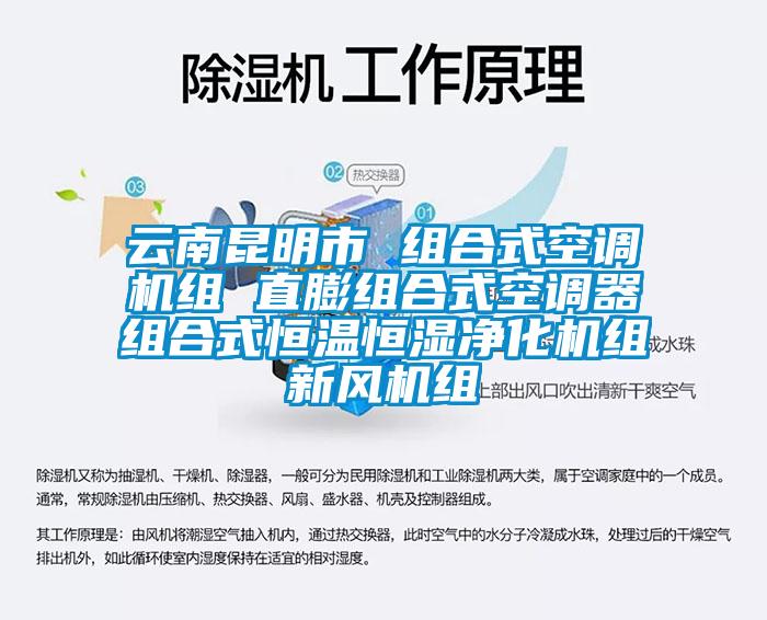 云南昆明市 組合式空調(diào)機(jī)組 直膨組合式空調(diào)器組合式恒溫恒濕凈化機(jī)組新風(fēng)機(jī)組