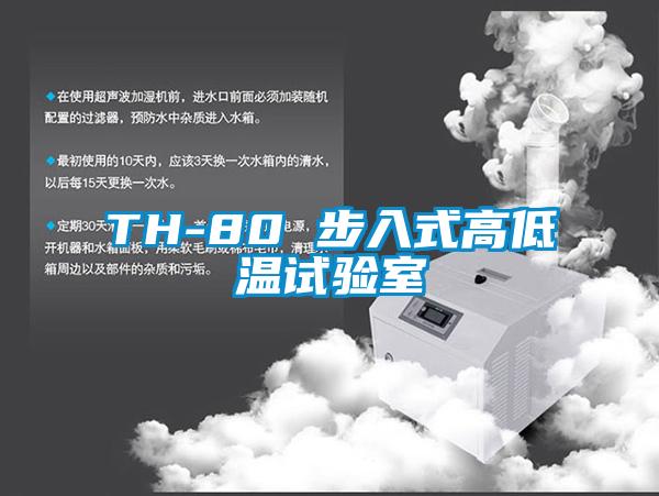 TH-80 步入式高低溫試驗(yàn)室