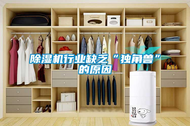 除濕機行業(yè)缺乏“獨角獸”的原因