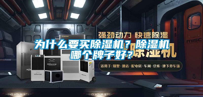 為什么要買除濕機(jī)？除濕機(jī)哪個牌子好？