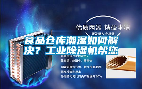 食品倉庫潮濕如何解決？工業(yè)除濕機(jī)幫您