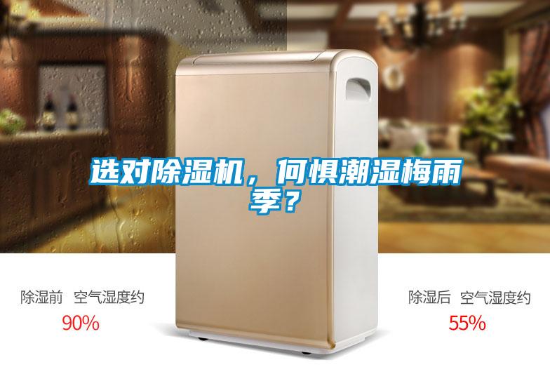 選對除濕機，何懼潮濕梅雨季？