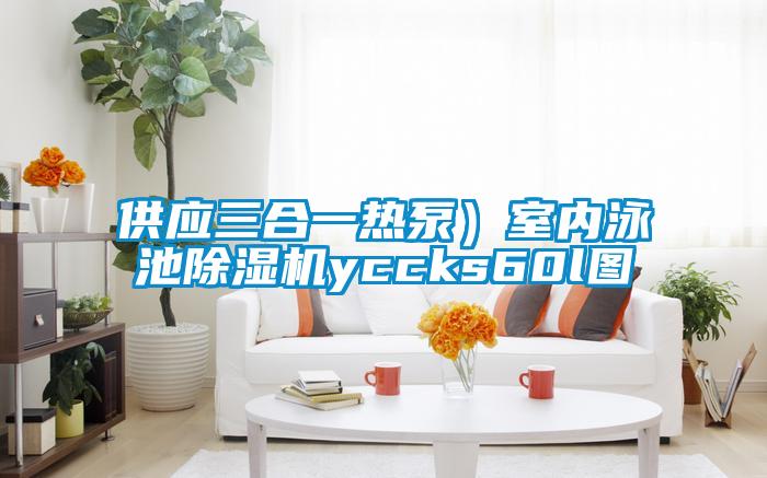 供應三合一熱泵）室內泳池除濕機yccks60l圖