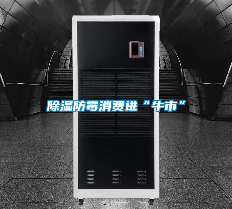 除濕防霉消費進“牛市”
